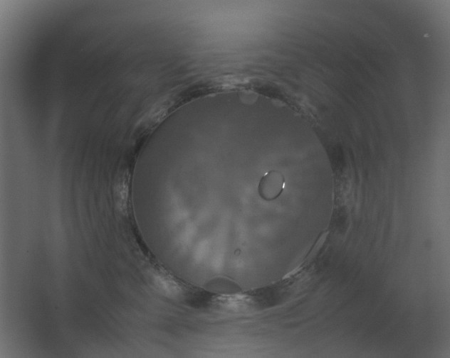 X0000067850427200604201312