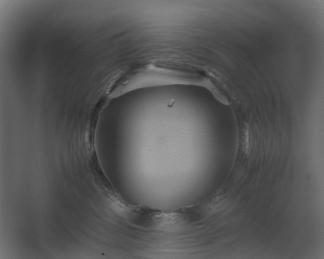 X0000067850428200604201312