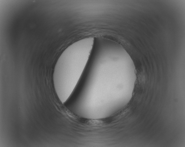 X0000067850429200604201312