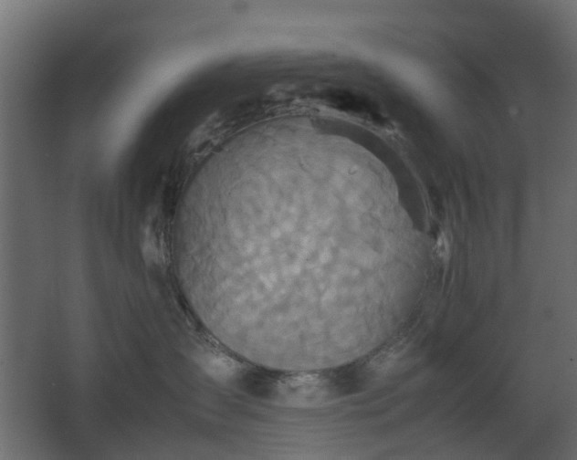 X0000067850431200604201312