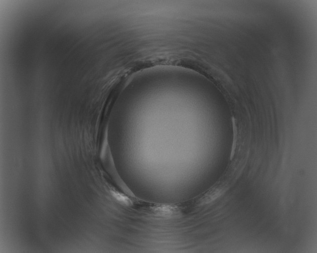 X0000067850432200604201312