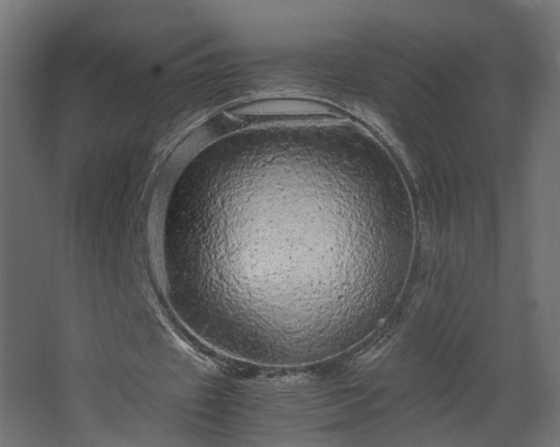 X0000067850433200604201311