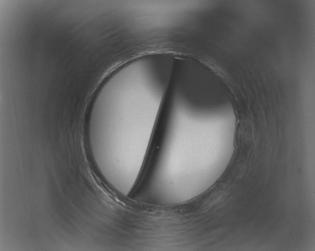 X0000067850434200604201311