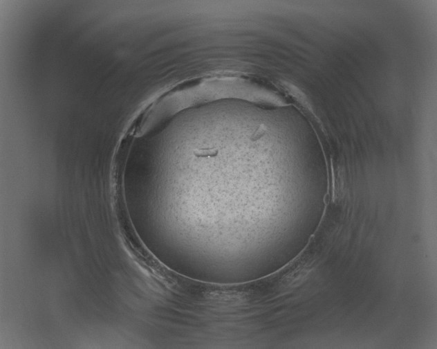 X0000067850435200604201311