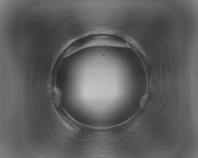 X0000067850436200604201311