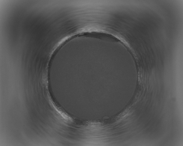 X0000067850438200604201311