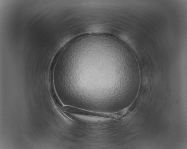 X0000067850439200604201311