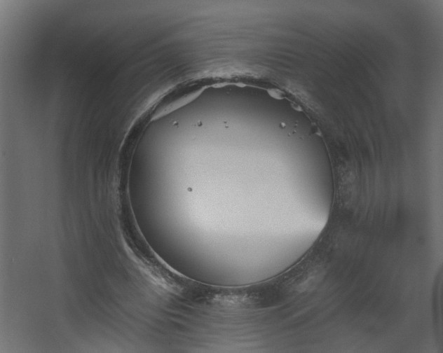 X0000067850440200604201311