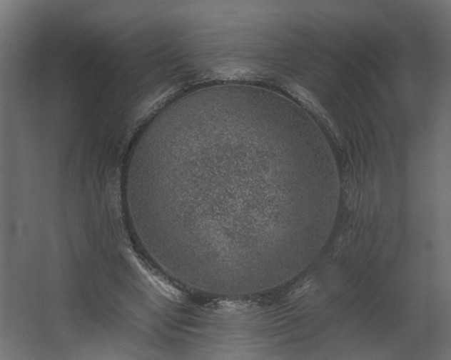 X0000067850442200604201311