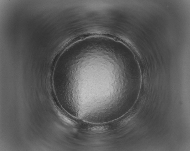 X0000067850445200604201312