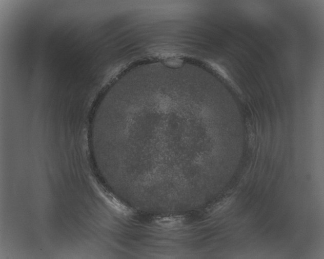 X0000067850447200604201312