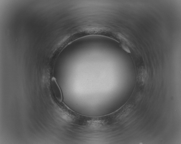 X0000067850448200604201312