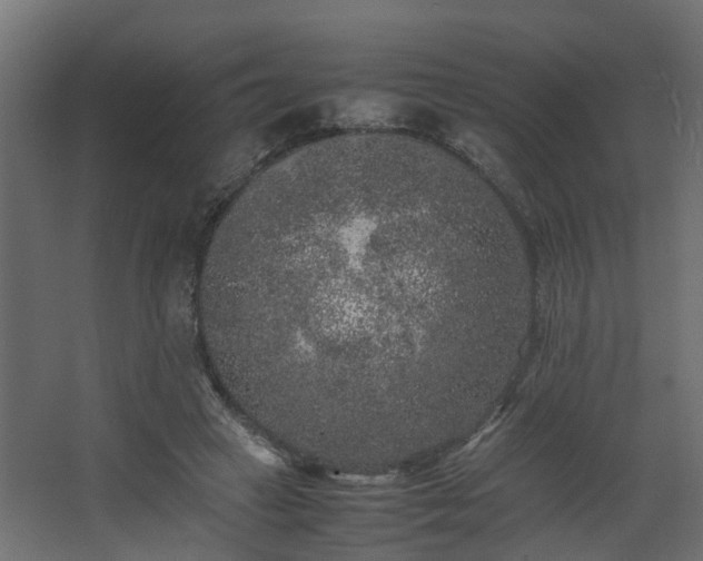 X0000067850449200604201312