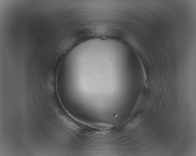 X0000067850450200604201312