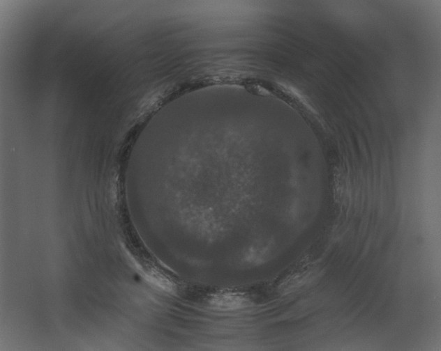 X0000067850451200604201312