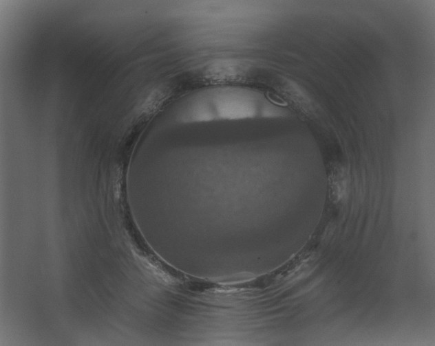 X0000067850458200604201312