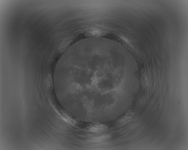 X0000067850459200604201312