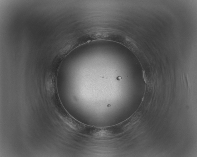 X0000067850460200604201312