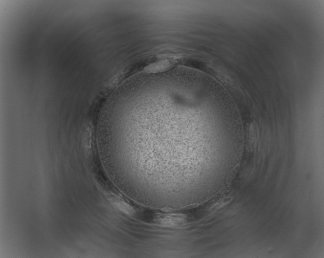 X0000067850463200604201312