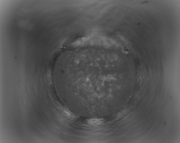 X0000067850465200604201312