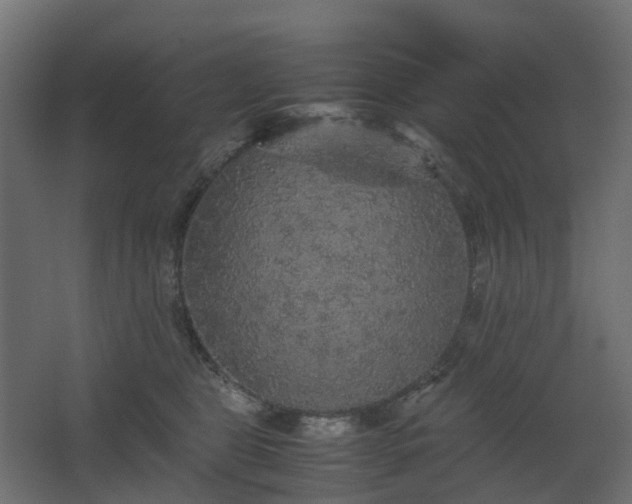 X0000067850469200604201312