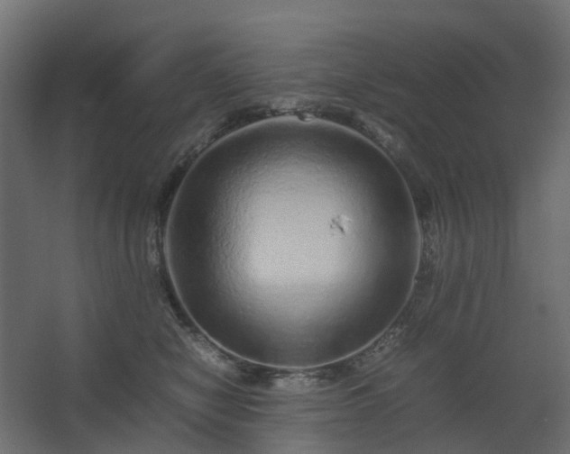 X0000067850470200604201312