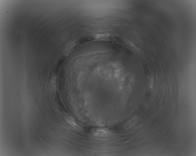 X0000067850475200604201312