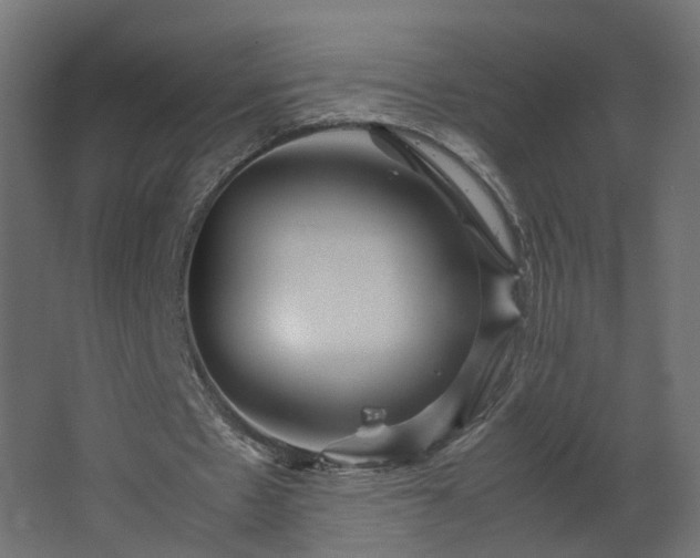 X0000067850481200604201311