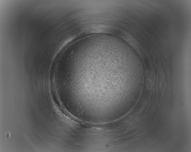 X0000067850482200604201311