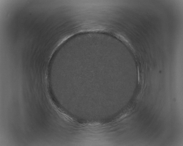 X0000067850483200604201311