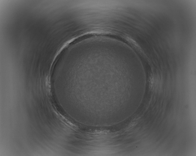 X0000067850484200604201311