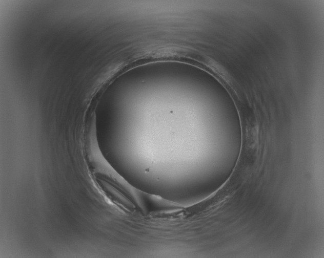 X0000067850485200604201311