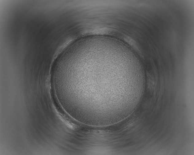 X0000067850486200604201311