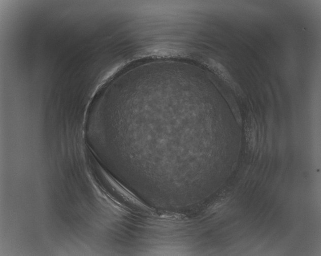 X0000067850488200604201311