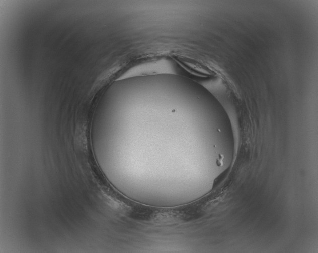 X0000067850489200604201311