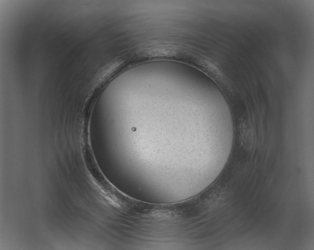 X0000067850490200604201311