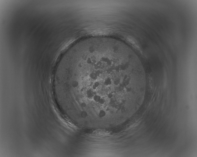 X0000067850491200604201311