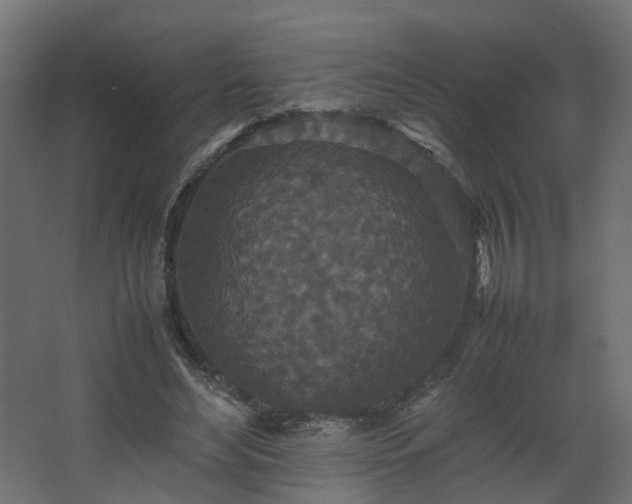 X0000067850492200604201311