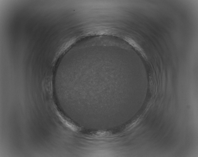 X0000067850493200604201311