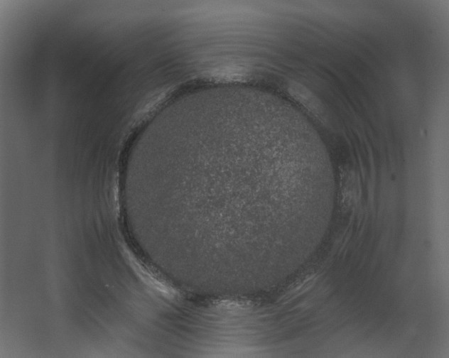 X0000067850494200604201311