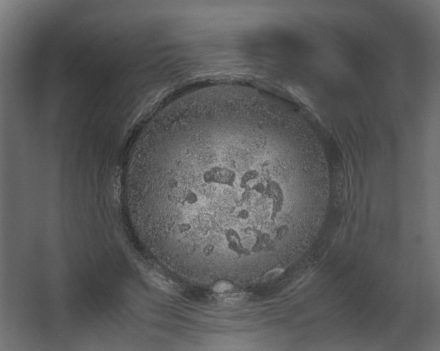 X0000067850495200604201311