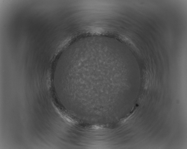 X0000067850496200604201311