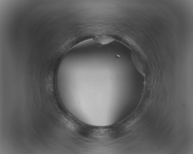 X0000067850497200604201311