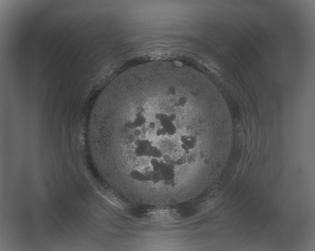 X0000067850499200604201311