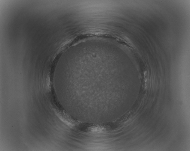 X0000067850500200604201311