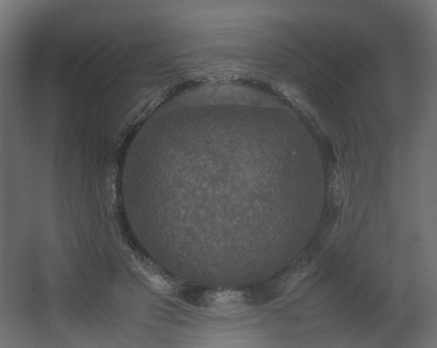 X0000067850501200604201311