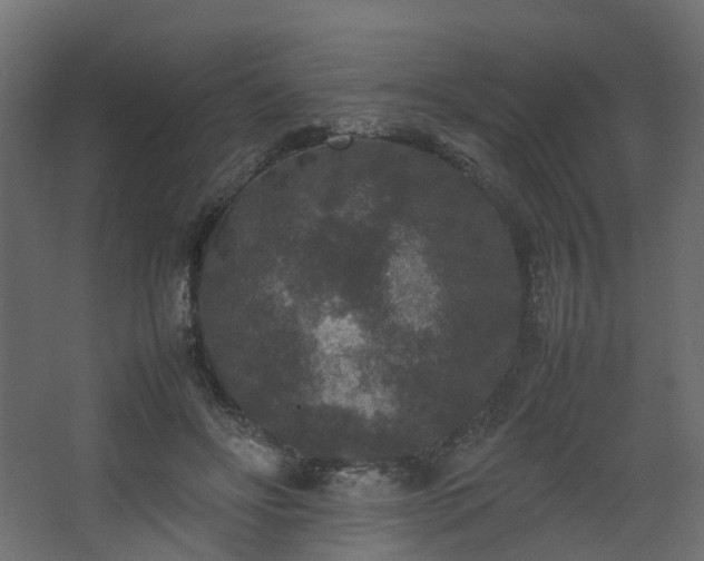 X0000067850502200604201311