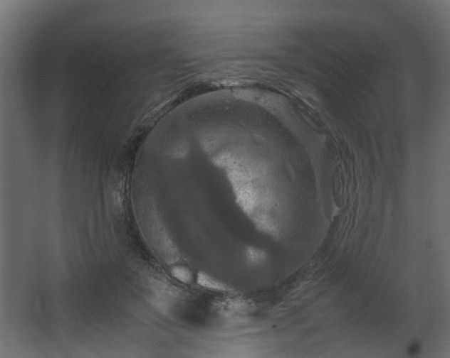 X0000067850503200604201311