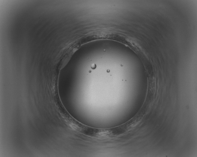 X0000067850505200604201311