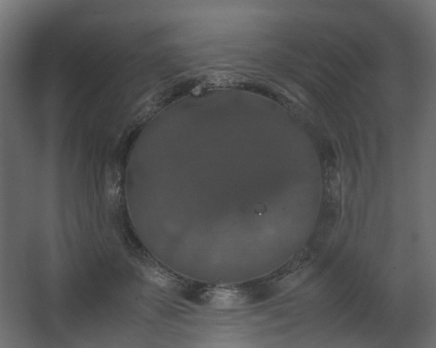 X0000067850507200604201311